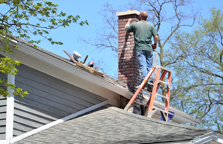 Chimney & Fireplace Inspections Services in Elmwood Park, IL